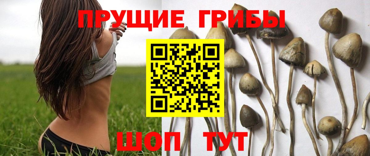 Псилоцибиновые грибы Magic Shrooms Конаково
